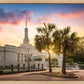 Columbia Palmetto Sunset