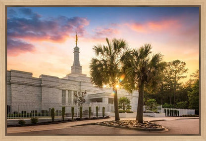 Columbia Palmetto Sunset