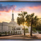 Columbia Palmetto Sunset