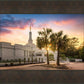 Columbia Palmetto Sunset