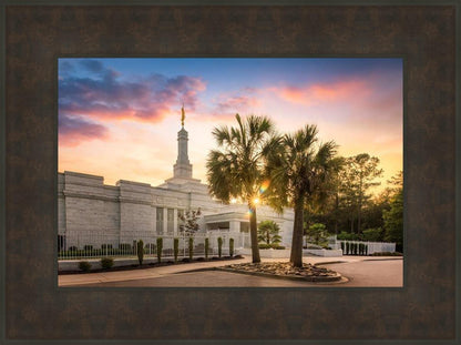 Columbia Palmetto Sunset