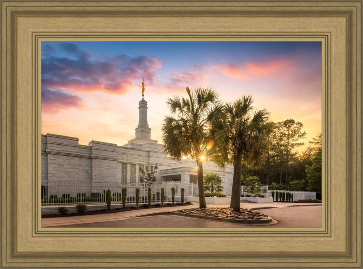 Columbia Palmetto Sunset