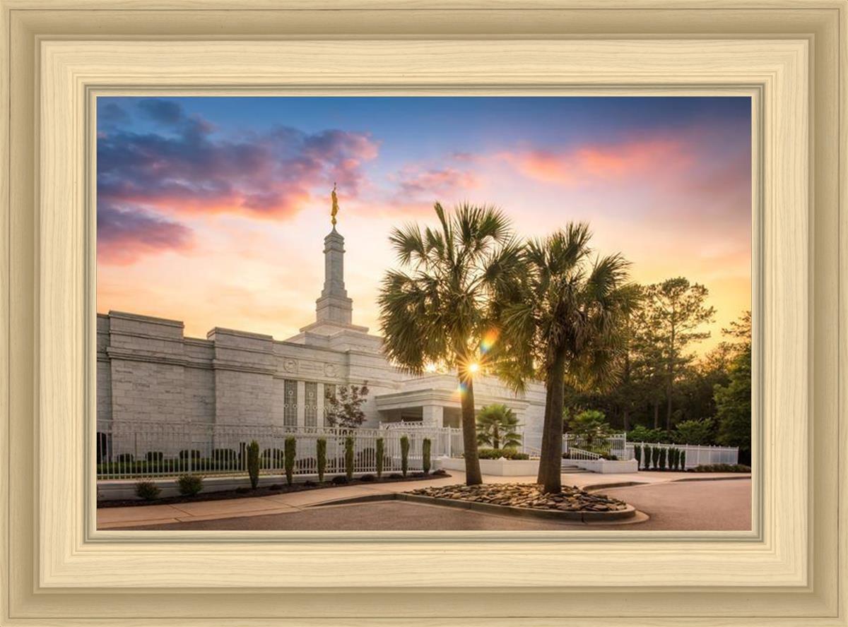 Columbia Palmetto Sunset