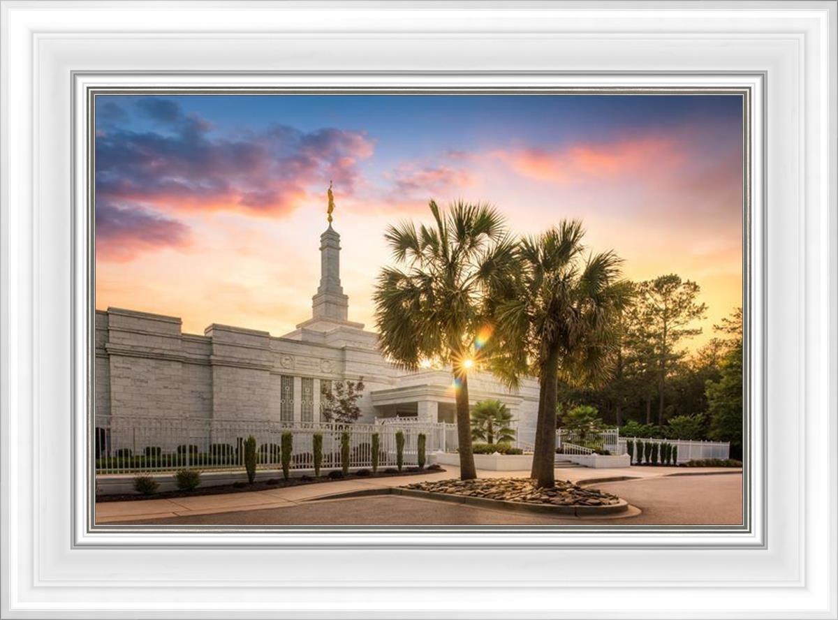Columbia Palmetto Sunset