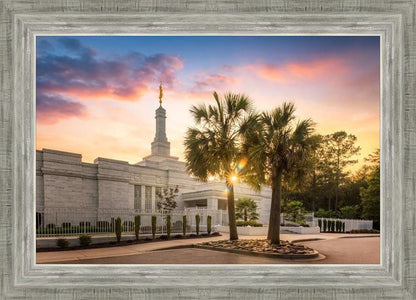 Columbia Palmetto Sunset