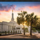 Columbia Palmetto Sunset