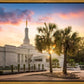 Columbia Palmetto Sunset