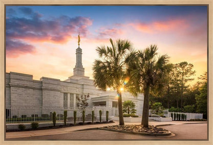 Columbia Palmetto Sunset