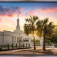 Columbia Palmetto Sunset