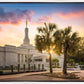 Columbia Palmetto Sunset