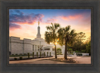 Columbia Palmetto Sunset