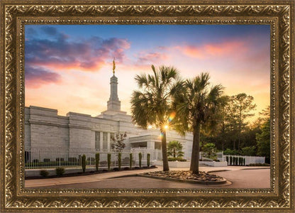 Columbia Palmetto Sunset