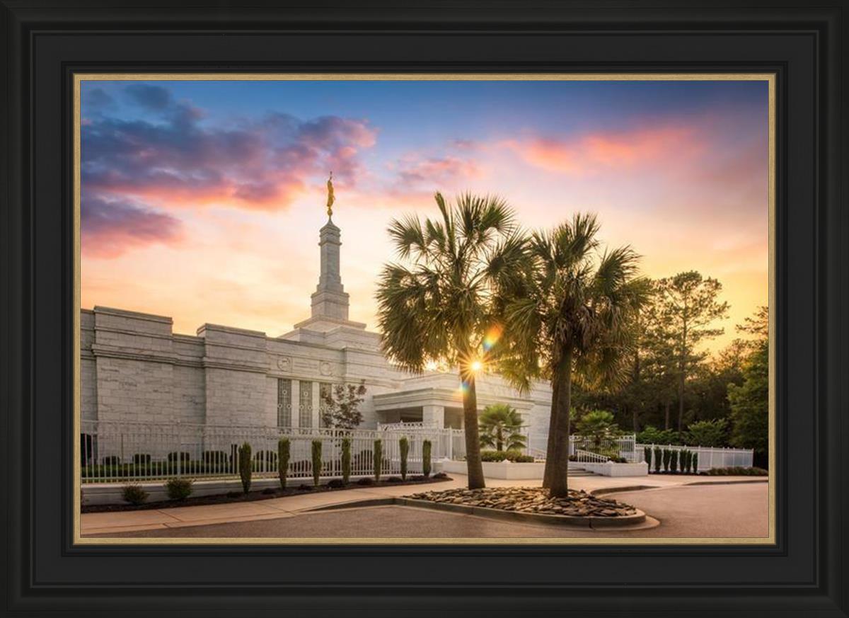 Columbia Palmetto Sunset