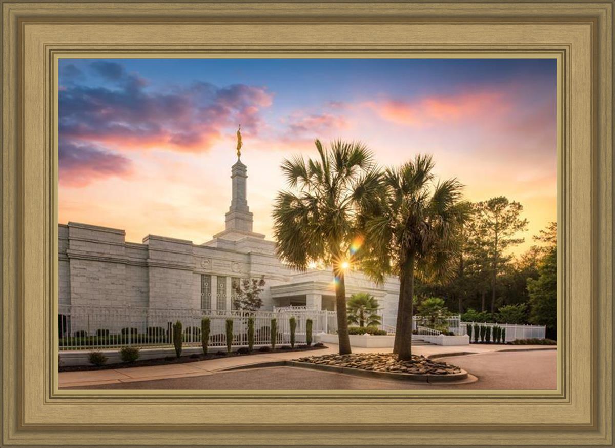Columbia Palmetto Sunset