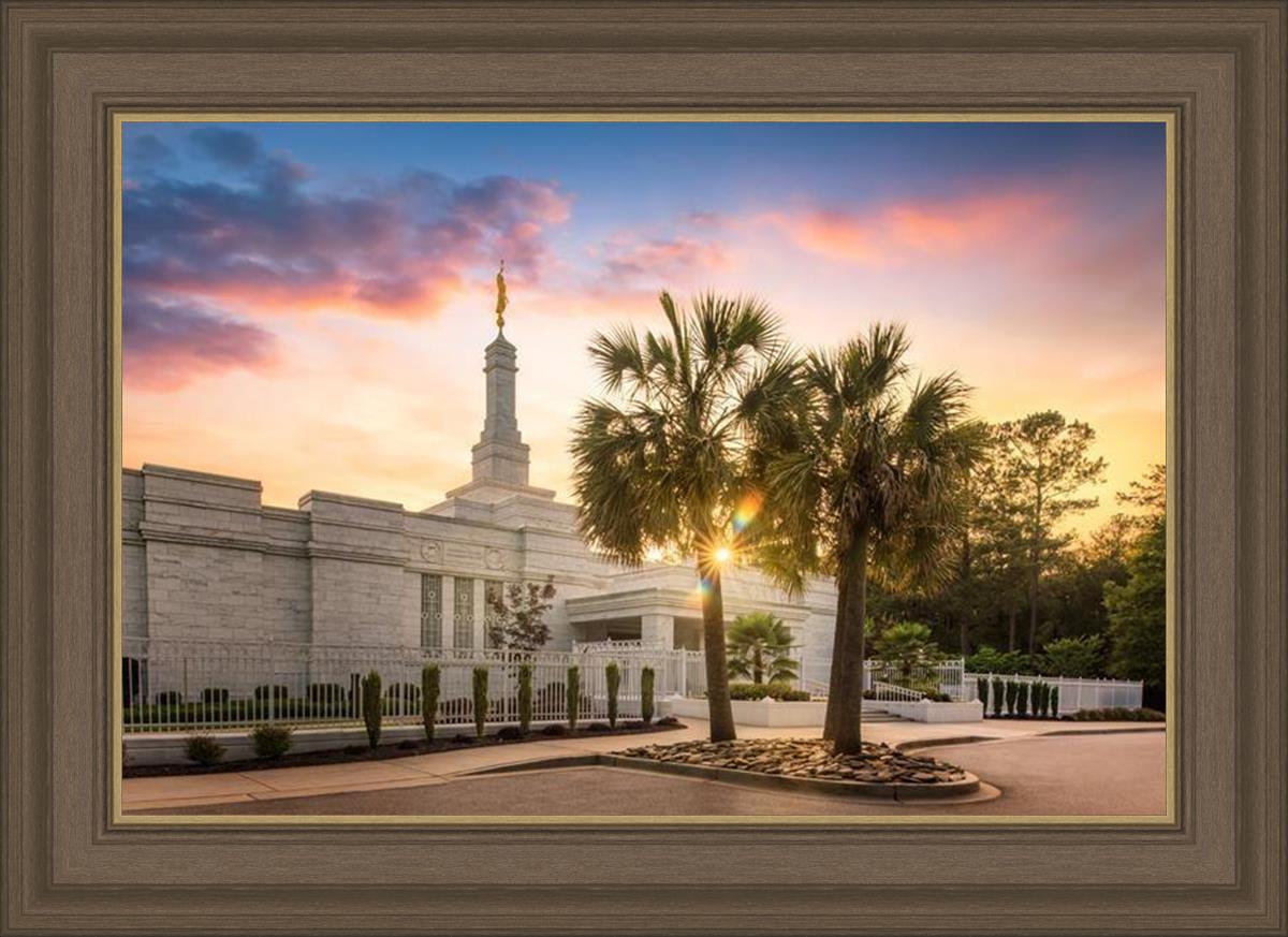 Columbia Palmetto Sunset