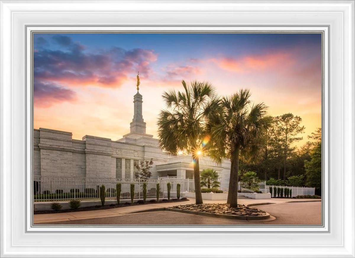 Columbia Palmetto Sunset