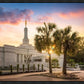 Columbia Palmetto Sunset