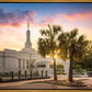 Columbia Palmetto Sunset