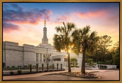 Columbia Palmetto Sunset