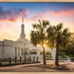 Columbia Palmetto Sunset