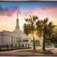 Columbia Palmetto Sunset