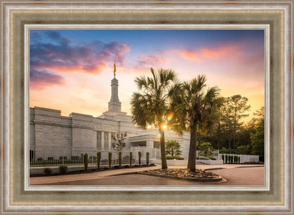 Columbia Palmetto Sunset