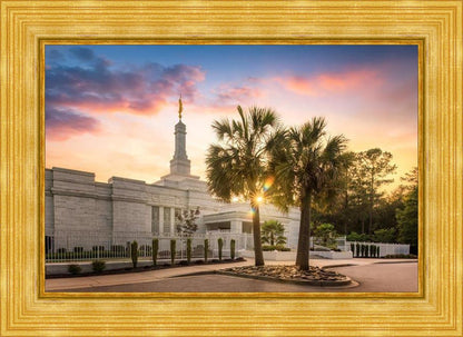 Columbia Palmetto Sunset