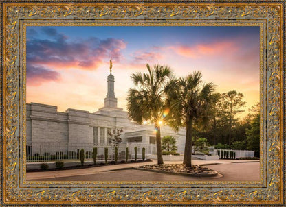 Columbia Palmetto Sunset