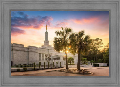 Columbia Palmetto Sunset