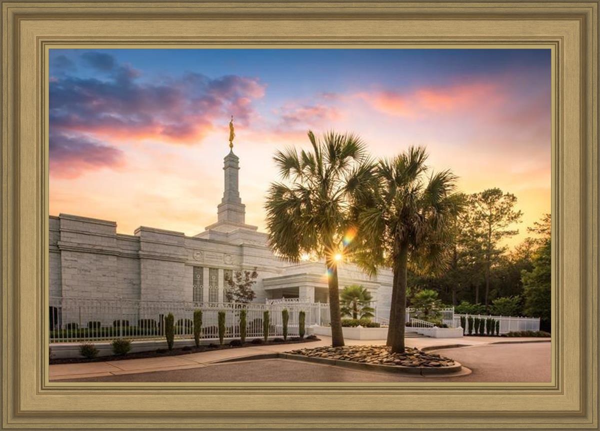 Columbia Palmetto Sunset