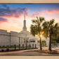 Columbia Palmetto Sunset