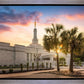 Columbia Palmetto Sunset