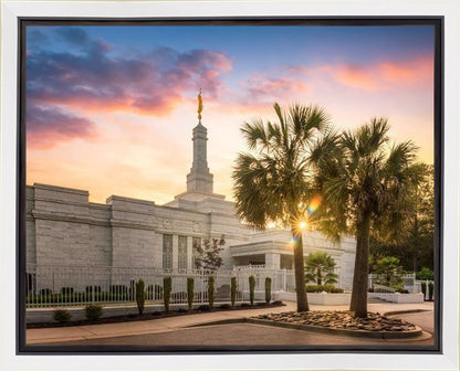 Columbia Palmetto Sunset