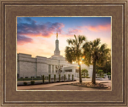 Columbia Palmetto Sunset