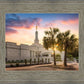 Columbia Palmetto Sunset