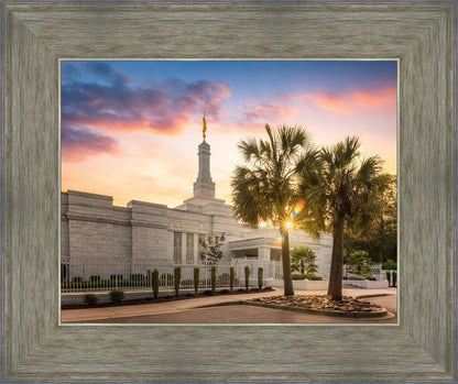 Columbia Palmetto Sunset