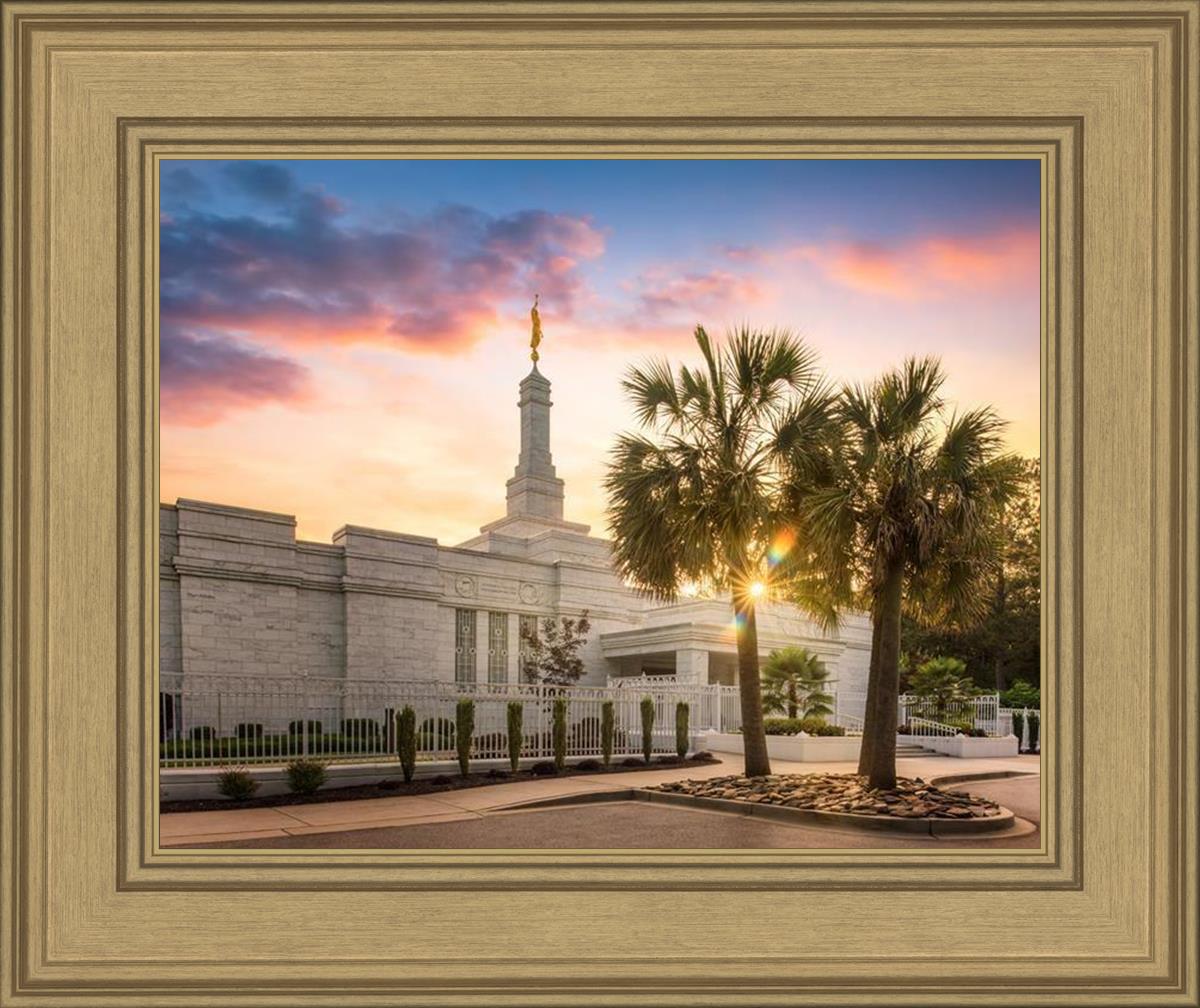 Columbia Palmetto Sunset