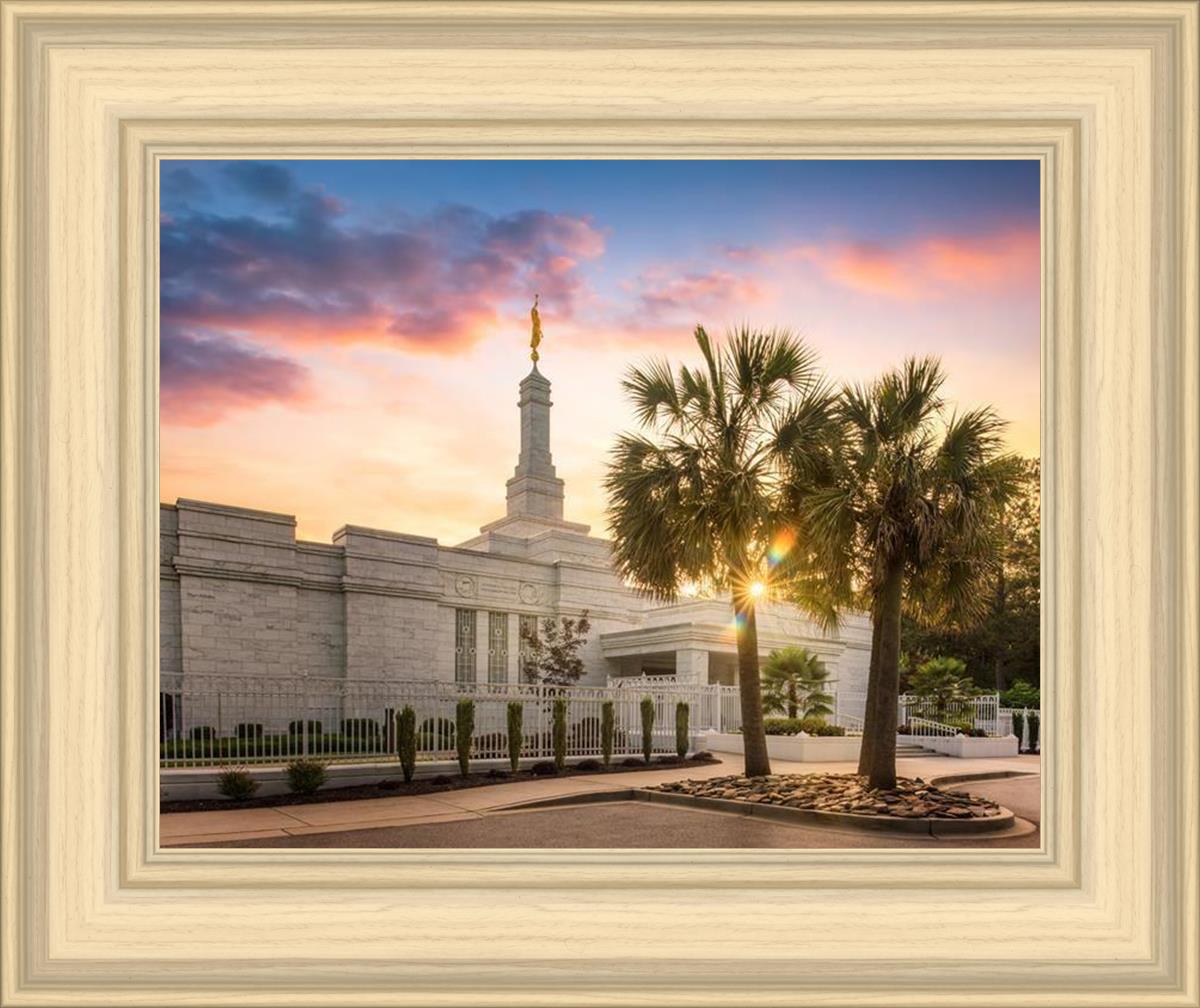Columbia Palmetto Sunset
