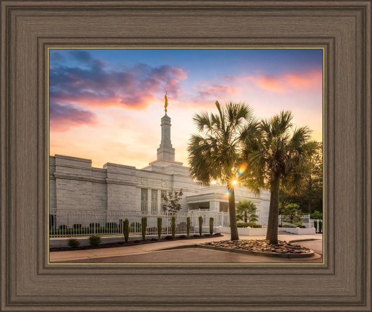 Columbia Palmetto Sunset