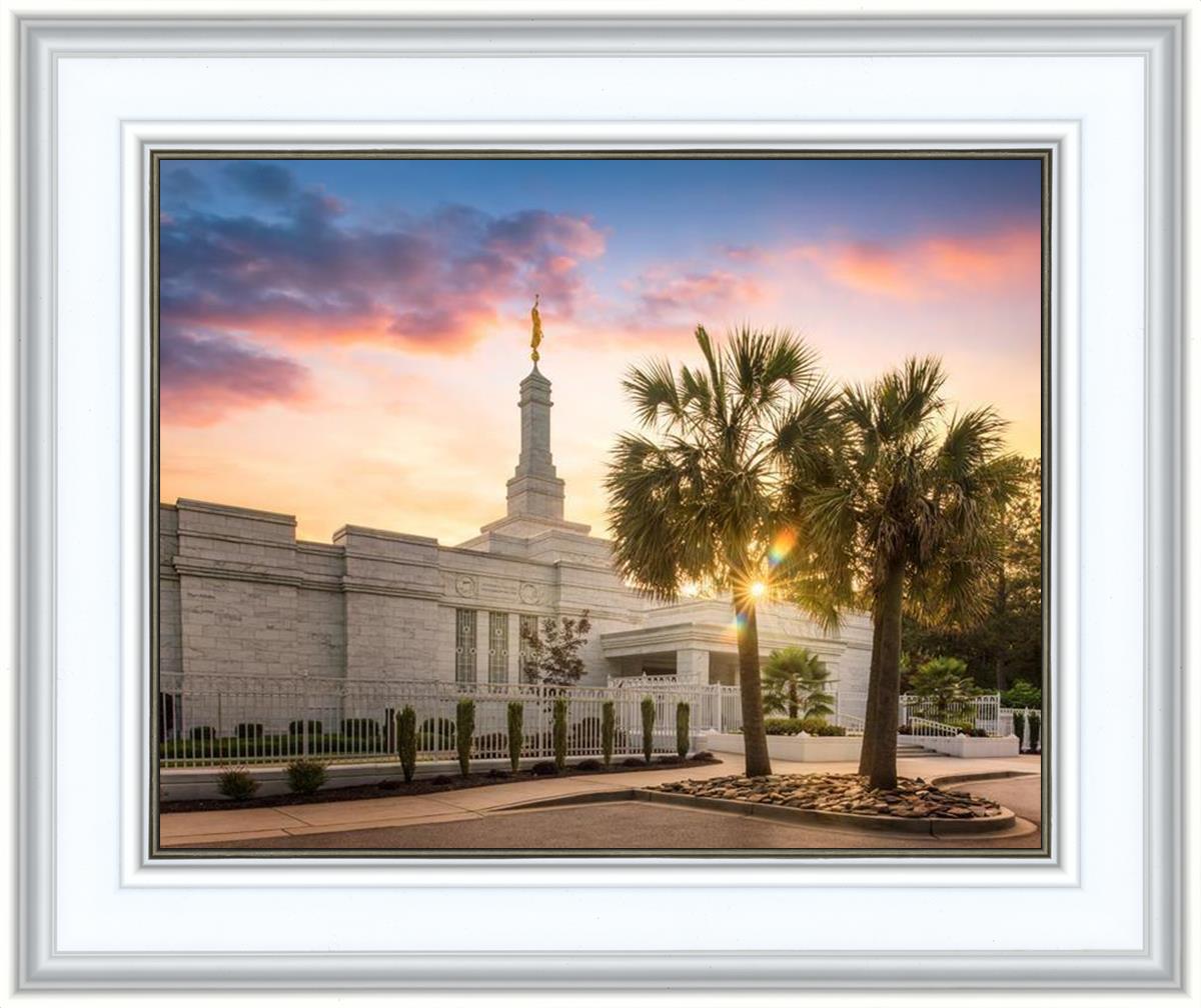 Columbia Palmetto Sunset