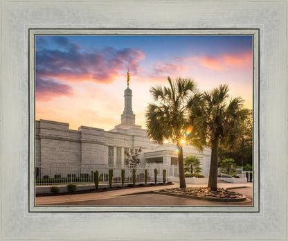 Columbia Palmetto Sunset