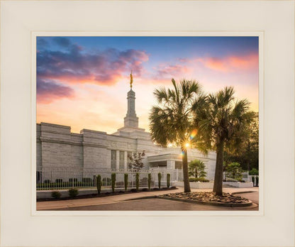 Columbia Palmetto Sunset