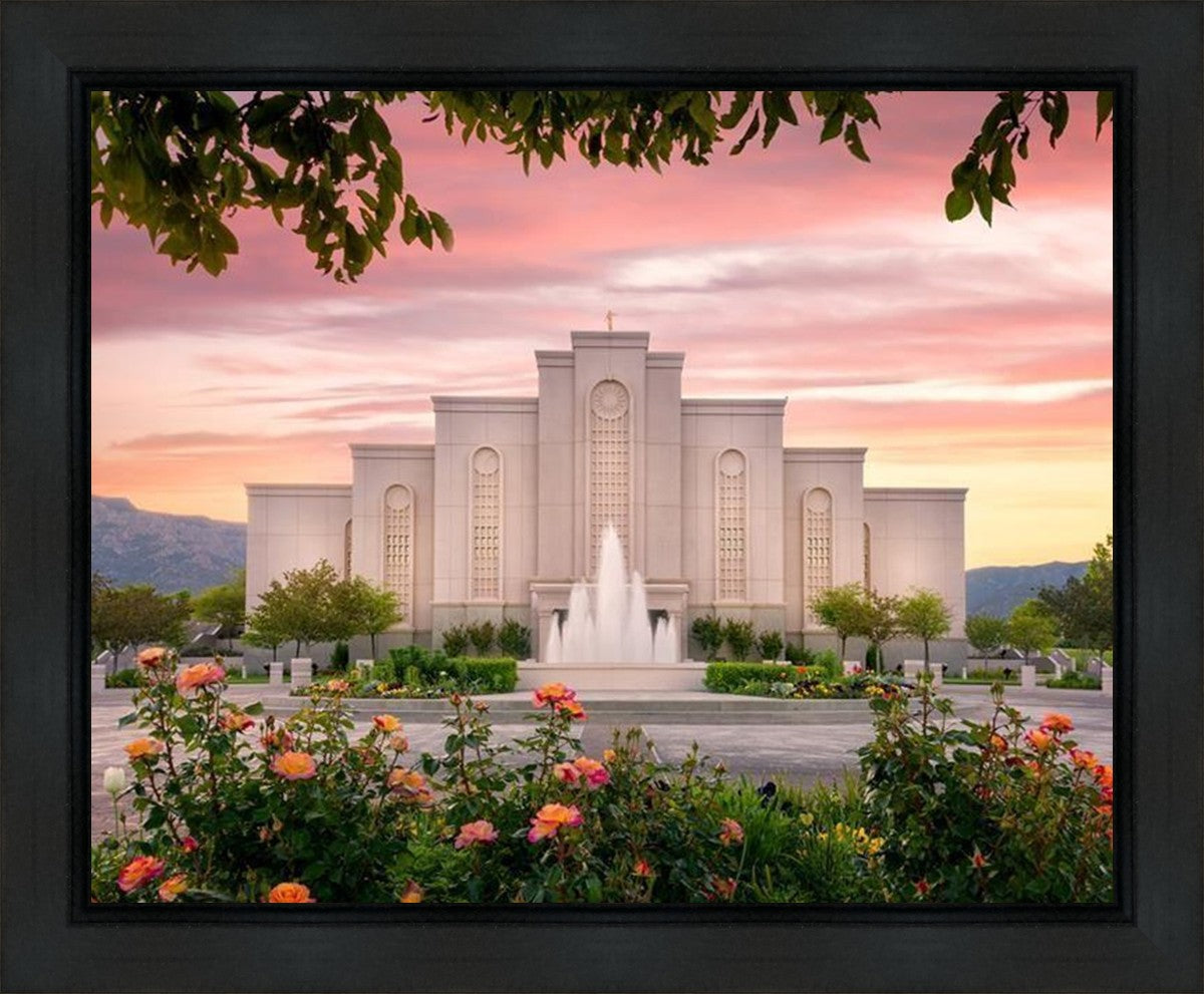 Albuquerque Morning Rose Gallery Wrap