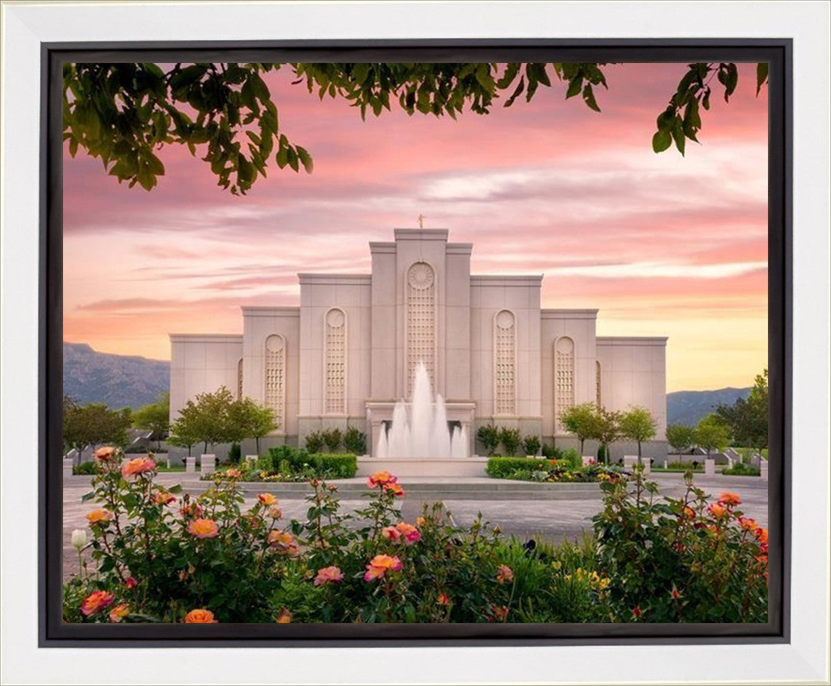 Albuquerque Morning Rose Gallery Wrap