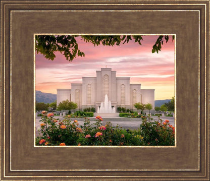 Albuquerque Morning Rose