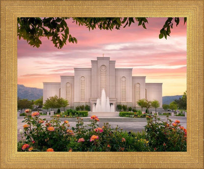 Albuquerque Morning Rose