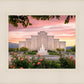 Albuquerque Morning Rose