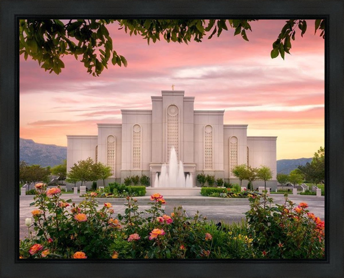 Albuquerque Morning Rose Gallery Wrap