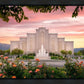 Albuquerque Morning Rose