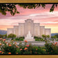 Albuquerque Morning Rose